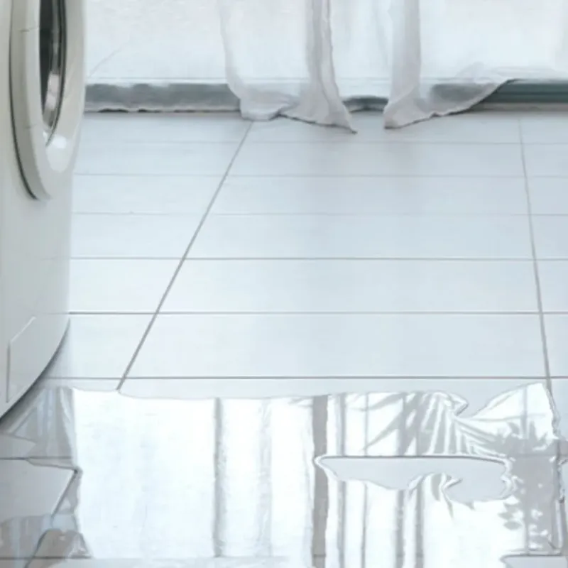 Appliance Leak Cleanup in Charlotte, TN