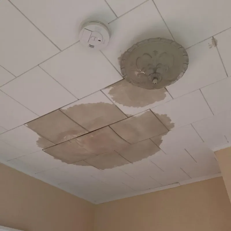 Ceiling Water Damage Repair in Charlotte, TN