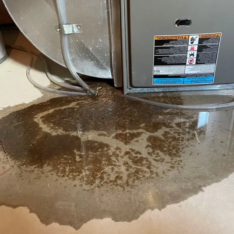 Pipe Burst and Leak Restoration in Charlotte, TN