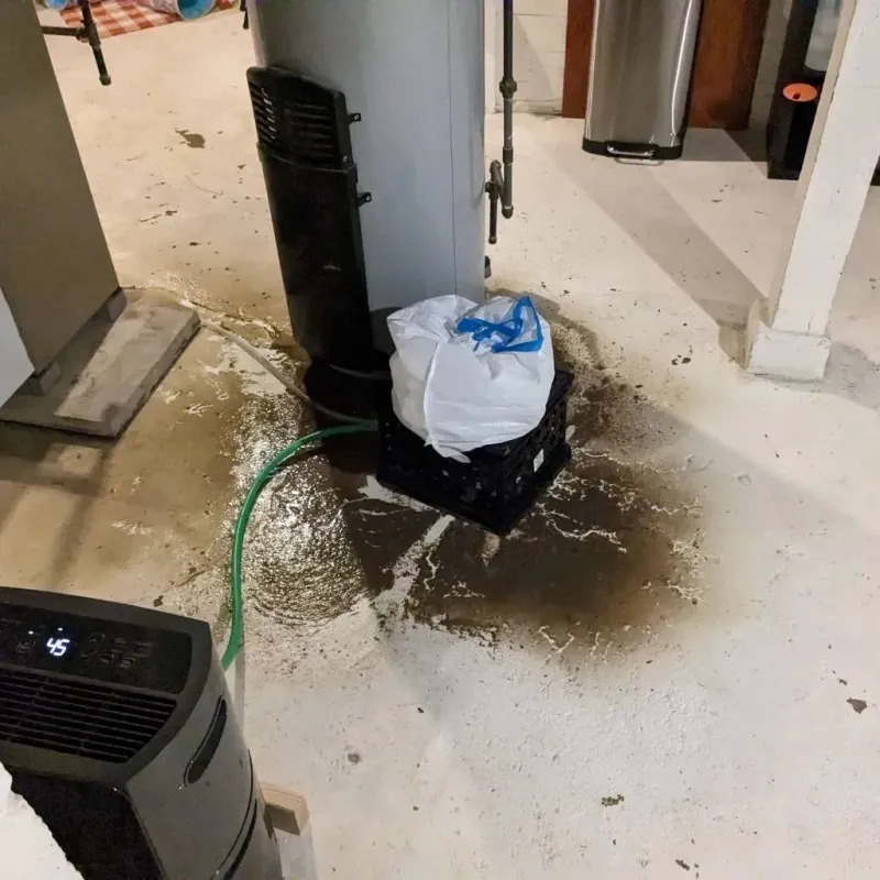 Sewage Backup Cleanup Service in Charlotte, TN